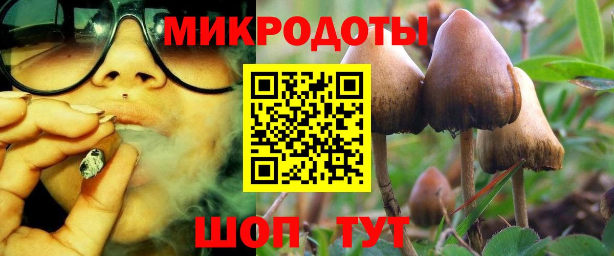 Галлюциногенные грибы Psilocybine cubensis  Вход с VPN  Сыктывкар  Псилоцибиновые грибы Psilocybe 